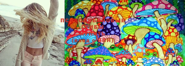 прущая мука Верея