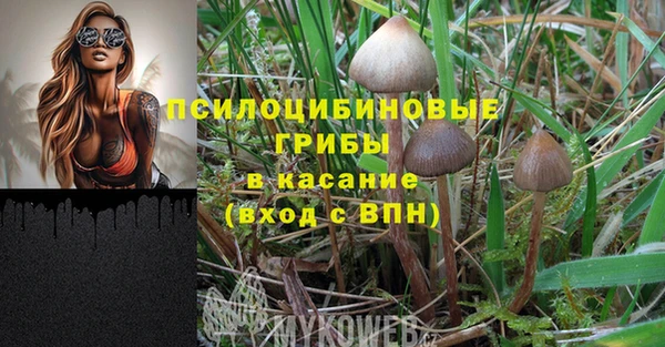 а пвп мука Верхний Тагил